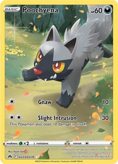 Poochyena  Pokemon card