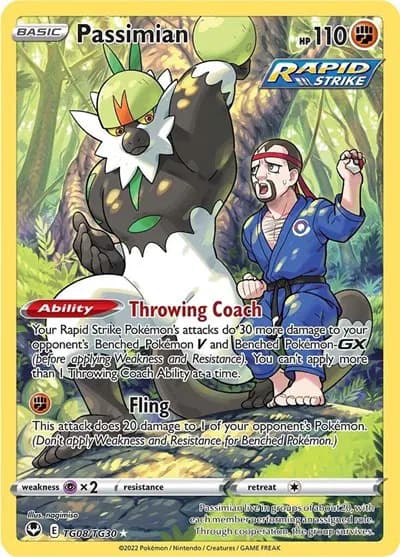 Passimian  Pokemon card