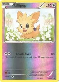 Lillipup Pokemon card